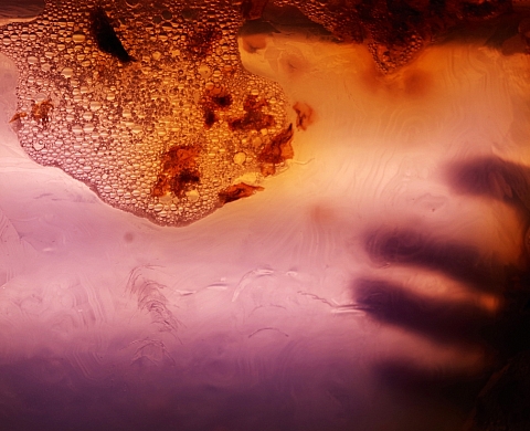 Photographies de Martine Mougin 