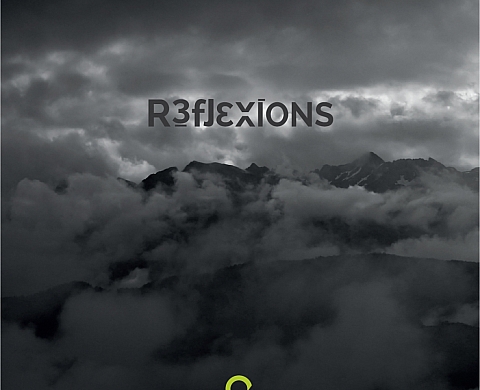 Réflexions - Quentin Bonaimé