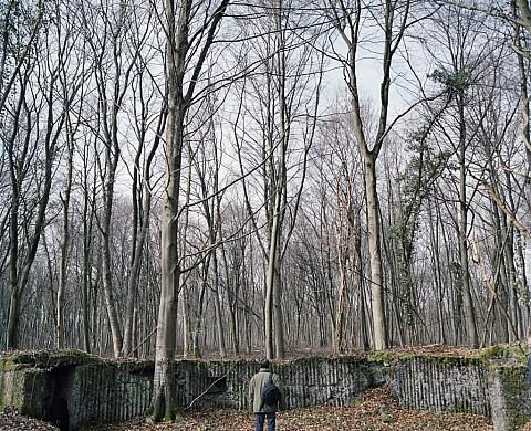 Des Éparges au Mémorial de Verdun – hommage à Maurice Genevoix Des Éparges au Mémorial de Verdun – hommage à Maurice Genevoix