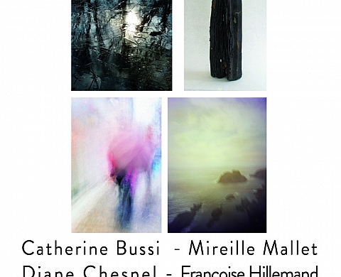 Paysages d'ici et d'ailleurs 2  - Hommes, Terre, mer et brouillard 