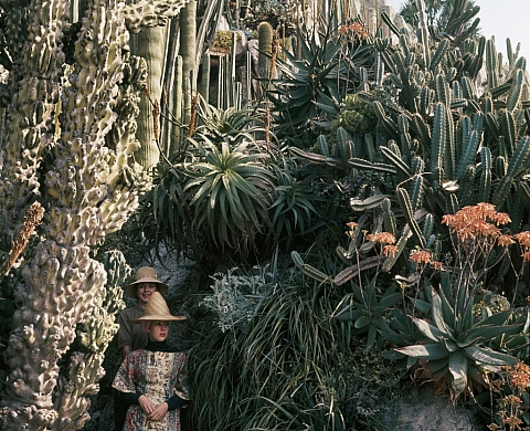Une invitation à Martine d'Astier - Découvrir (ou redécouvrir) Jacques Henri Lartigue