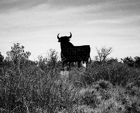 Brume et poussière par Jean-Luc Feixa