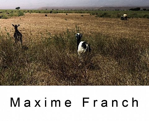 Au coeur de l'Atlas par Maxime Franch