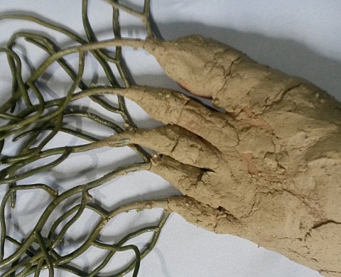 Zoè Gruni « Taupe »