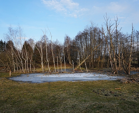 Exposition à La Chambre : Perspectives XVII