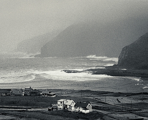 Exposition Collective 