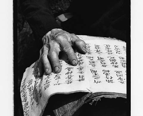 Anne de Vandière « Les Enfants de la Terre »