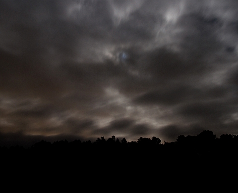 Julie Meyer, Entre chien et loup