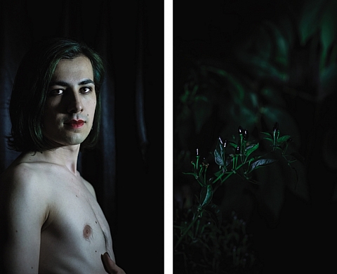 LES MÉTAMORPHOSES DE PROTÉE