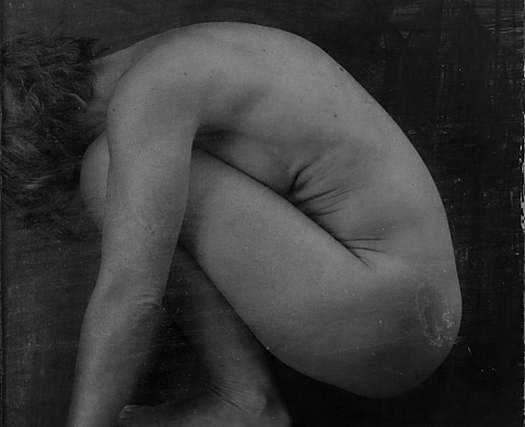 HANNAKA « Underground Flowers »