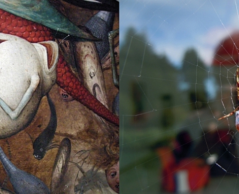 Didier Frouin-Guillery,  Serial collector