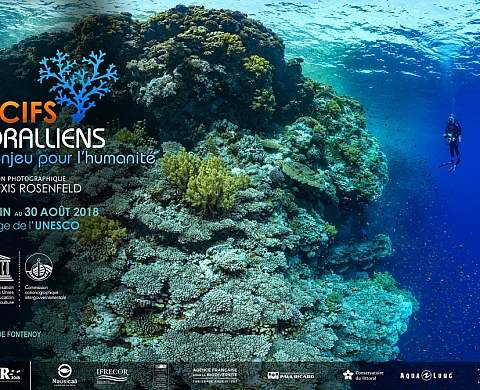 Recifs corraliens, un enjeu pour l'humanité