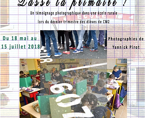 Passe la primaire ! de Yannick Pirot