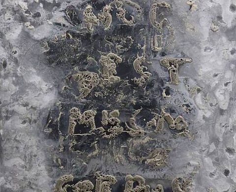 Gérald Thupinier « Nous savons en commun que nous n'avons rien en commun »