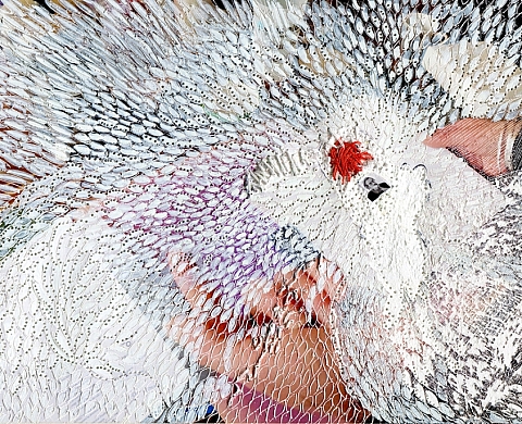 Ana Zulma, l'étrange évidence, hommage à Jackie Kayser