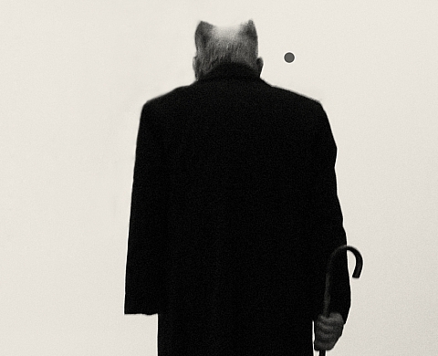 Dan Hayon : 9 x 9 x 33