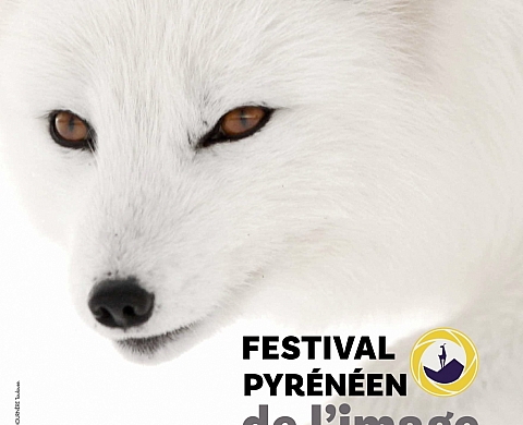 4ème ÉDITION DU FESTIVAL PYRÉNÉEN DE L’IMAGE NATURE DU 5 AU 7 OCTOBRE À CAUTERETS