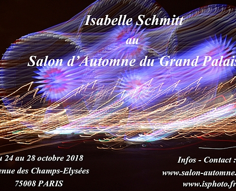 Isabelle Schmitt au Salon d'Automne du Grand Palais
