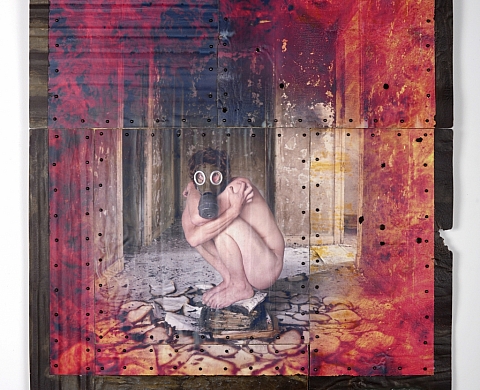 CALLIPHORA de Ysel FOURNET