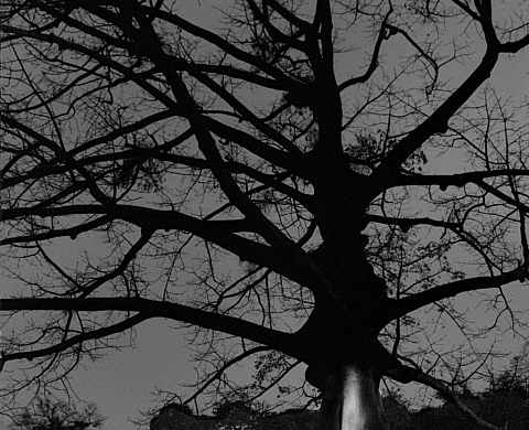 SOUS LEURS PROTECTIONS