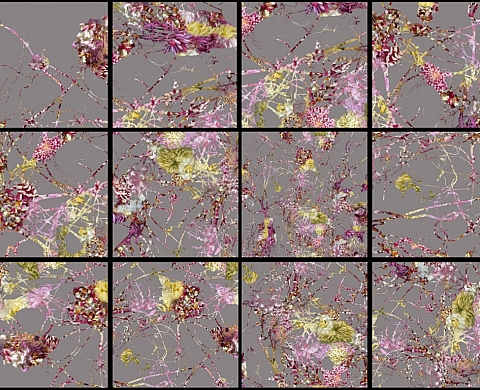 Compositions - Exposition de Denis Jutzeler & Mai-Britt Wolthers