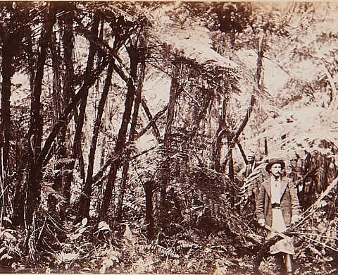 CONQUISTADOR. NICOLAS SAVARY. Sur les pas de Louis de Boccard, explorateur suisse dans le Nouveau Monde