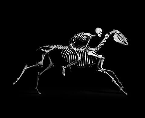 Evolution au musée de Préhistoire d'Ile-de-France