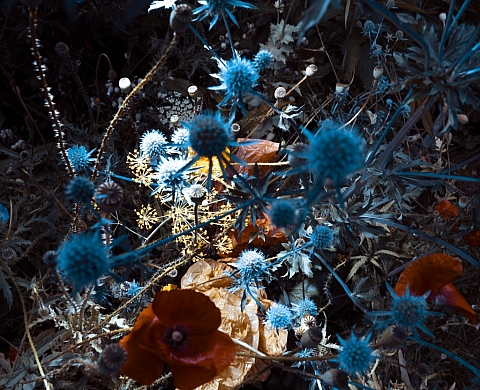 Henri Blommers - Exposition