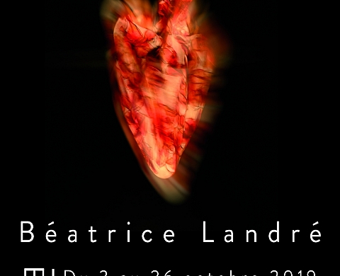 L'Instant Instinctif