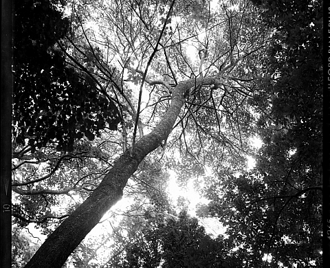 DANS LES RAYONS DE LUMIÈRE OBLIQUES Photographies de Guillaume D’Hubert