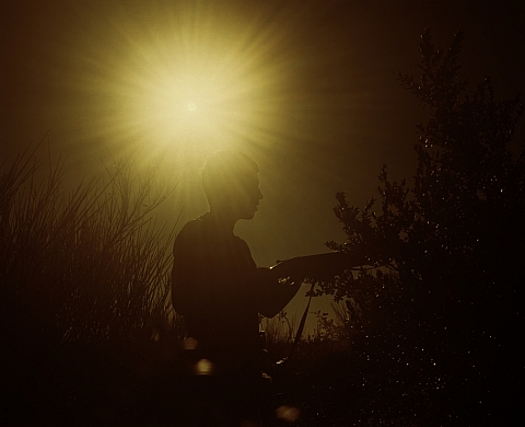Marine Lanier, LÎle fauve
