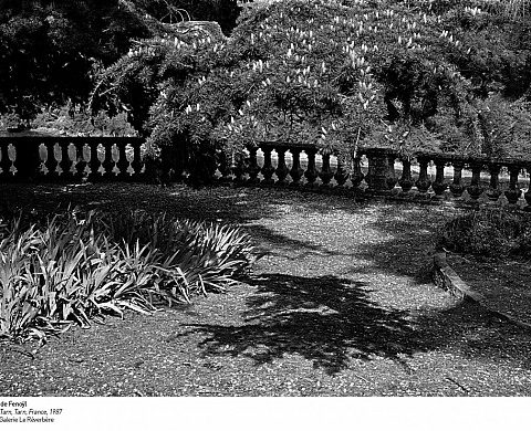 C’est quoi l’été pour vous ?