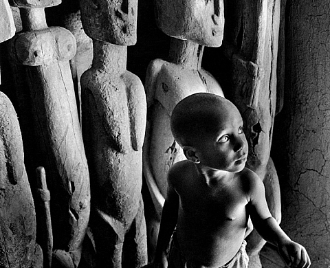 Alain Volut  Terre natale, Pays Dogon