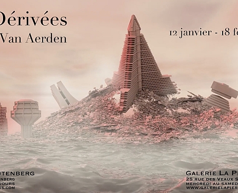 Les dérivées de Johann Van Aerden 