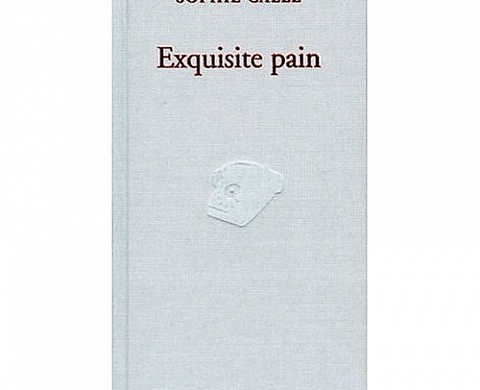 Sophie Calle - Exquisite Pain Sophie Calle - Exquisite Pain