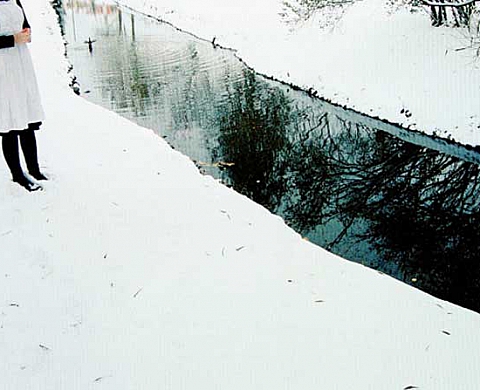 Finlandia e l'identità del Nord nel '900