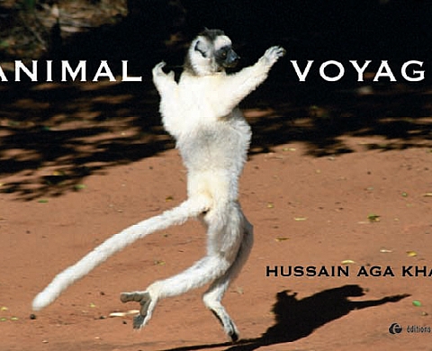 Hussain Aga Khan Animal Voyage, 1996-2007 Hussain Aga Khan Animal Voyage, 1996-2007