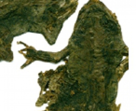 Natascha Stellmach The Book of Back