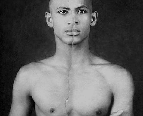 Andreas Mahl - Photomorphoses