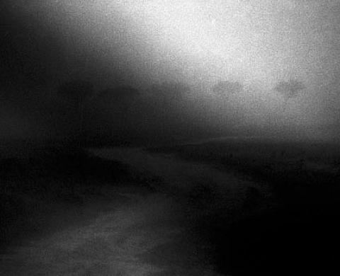 Nicolas Bruant - Traces Nicolas Bruant - Traces
