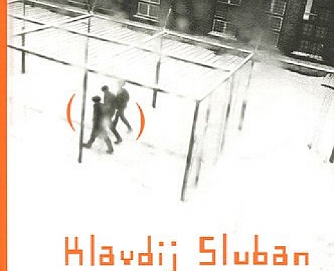 Klavdij Sluban 10 ans de photographie en prison : Edition bilingue français-anglais (1DVD) Klavdij Sluban 10 ans de photographie en prison : Edition bilingue français-anglais (1DVD)
