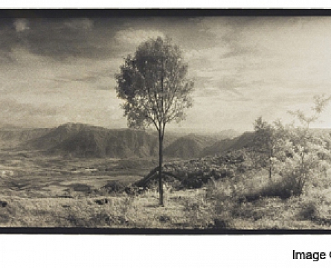 Horizon: Russian Cameras, Keralan Landscapes by Jake Polonsky Horizon: Russian Cameras, Keralan Landscapes by Jake Polonsky