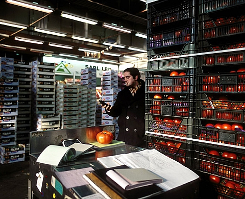 Emile Loreaux - Je suis une tomate