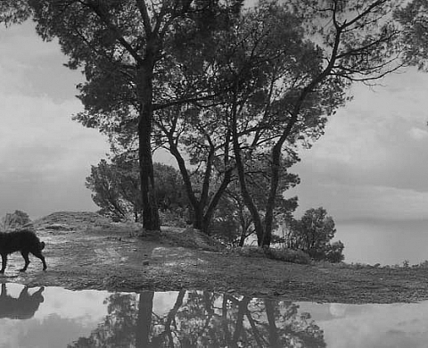 Pentti Sammallahti Le bord du monde Pentti Sammallahti Le bord du monde