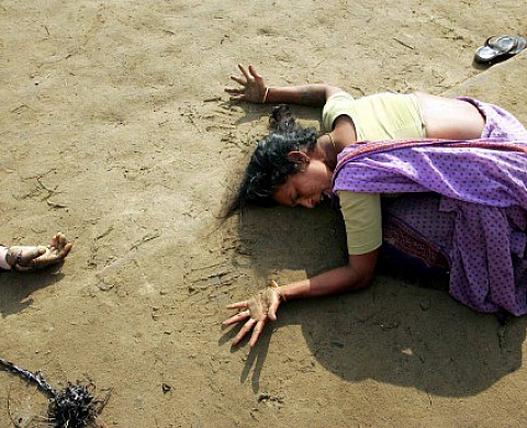 World press photo expose à visa pour l'image 2005