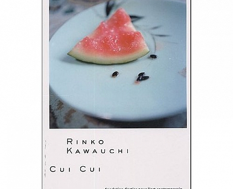 Rinko Kawauchi Cui Cui Rinko Kawauchi Cui Cui
