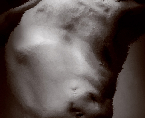 Philippe Colignon - Le corps en filigrane