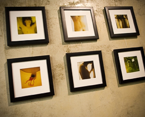 Cédric Viollet / Agence Next -  Exposition FxTxW