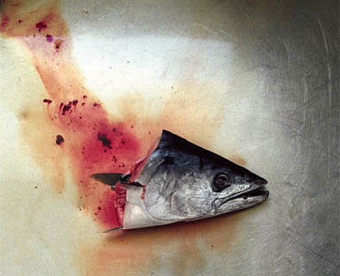 Evangelia Kranioti, photographies exposition au Moment