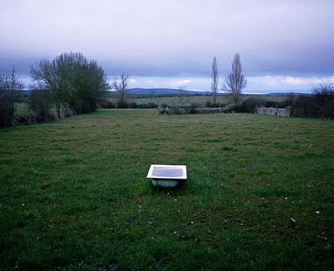 Las Proyecciones de Santa Ana - PSP llevan la fotografía a las calles